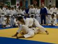 Judo 3