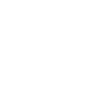 Shield with check mark icon