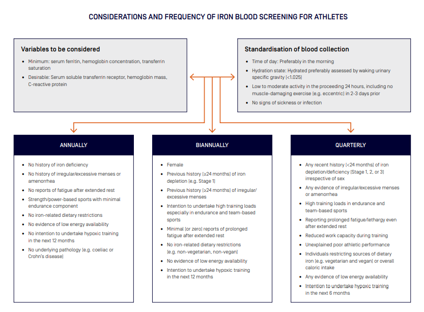 Considerations and frequency of iron blood screening for athletes  Variables to be considered. Minimum: serum ferritin, hemoglobin concentration, transferrin saturation.  Desirable: Serum soluble transferrin receptor, hemoglobin mass, C-reactive protein.  Standardisation of blood collection. Time of day: Preferably in the morning. Hydration state: Hydrated preferably assessed by waking urinary specific gravity (<1.025). Low to moderate activity in the proceeding 24 hours, including no muscle-damaging exercise (e.g. eccentric) in 2-3 days prior. No signs of sickness or infection.  Annually No history of iron deficiency. No history of irregular/excessive menses or amenorrhea. No reports of fatigue after extended rest. Strength/power-based sports with minimal endurance component. No iron-related dietary restrictions. No evidence of low energy availability. No intention to undertake hypoxic training in the next 12 months. No underlying pathology (e.g. coeliac or Crohn’s disease).  Biannually Female. Previous history (≥24 months) of iron depletion (e.g. Stage 1). Previous history (≥24 months) of irregular/excessive menses.  Intention to undertake high training loads especially in endurance and team-based sports. Minimal (or zero) reports of prolonged fatigue after extended rest. No iron-related dietary restrictions (e.g. non-vegetarian, non-vegan). No evidence of low energy availability.  Intention to undertake hypoxic training in the next 12 months.  Quarterly  Any recent history (<24 months) of iron depletion/deficiency (Stage 1, 2, or 3) irrespective of sex. Any evidence of irregular/excessive menses or amenorrhea. High training loads in endurance and team-based sports. Reporting prolonged fatigue/lethargy even after extended rest. Reduced work capacity during training. Unexplained poor athletic performance. Individuals restricting sources of dietary iron (e.g. vegetarian and vegan) or overall caloric intake. Any evidence of low energy availability. Intention to undertake hypoxic training in the next 6 months.