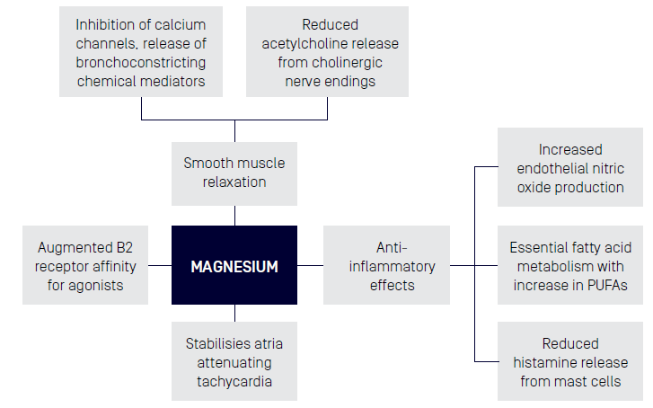 proposed mechanism of actions